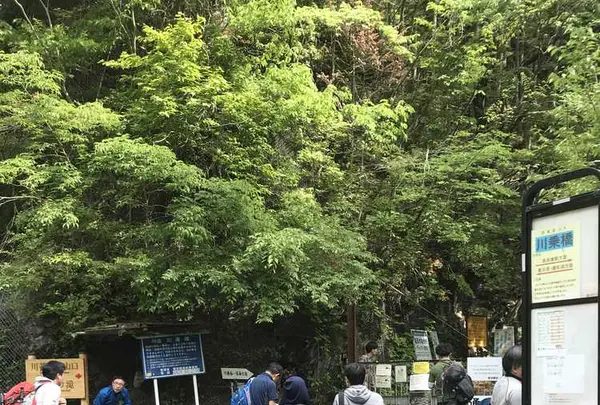 川苔山の写真・動画_image_193695