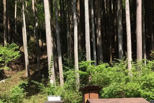 川苔山の写真・動画_image_193696