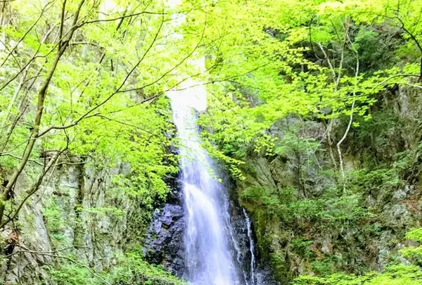 川苔山の写真・動画_image_193697