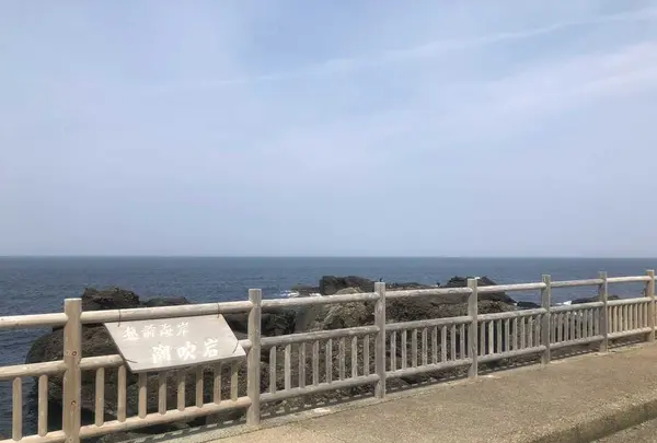 潮吹岩の写真・動画_image_193704