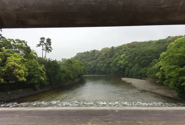 伊勢神宮の写真・動画_image_193854