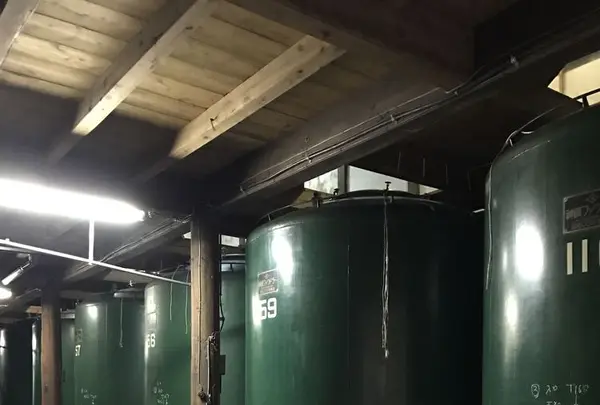 今代司酒造の写真・動画_image_193872