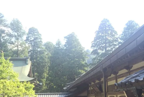 大本山永平寺の写真・動画_image_193927