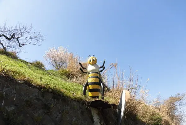 みつばち博物館の写真・動画_image_193970