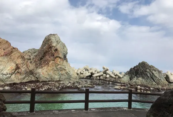 小袖海岸の写真・動画_image_193977
