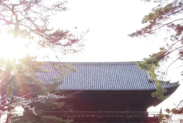 南禅寺の写真・動画_image_194206