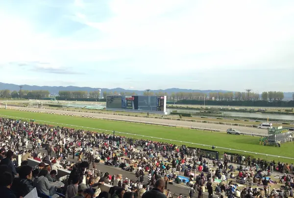京都競馬場の写真・動画_image_19424