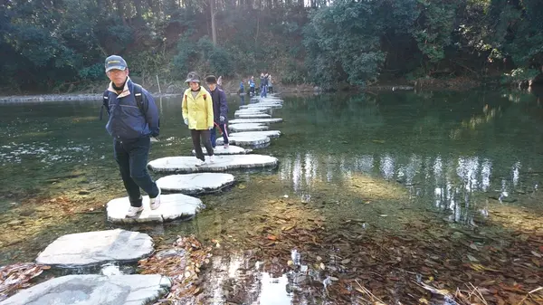 嵐山渓谷の写真・動画_image_194266