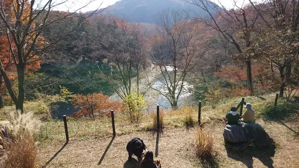 嵐山渓谷の写真・動画_image_194272