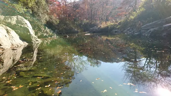 嵐山渓谷の写真・動画_image_194282
