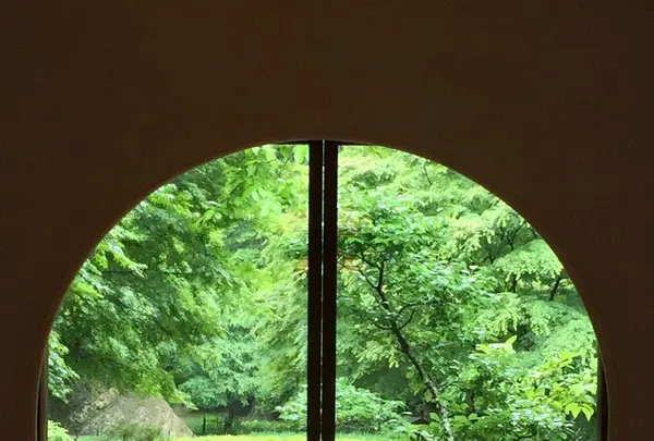 明月院（あじさい寺）の写真・動画_image_194293