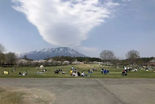 小岩井農場の写真・動画_image_194328