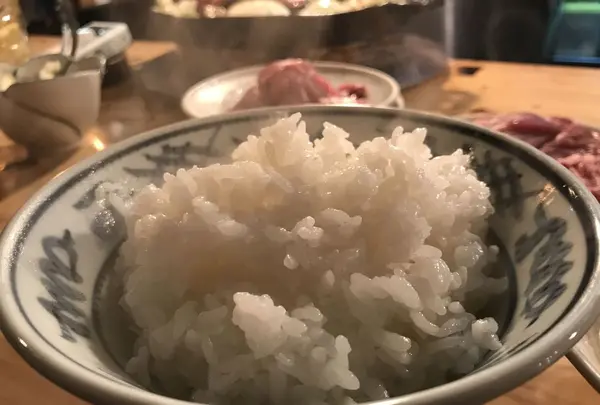 成吉思汗 だるま4.4店の写真・動画_image_194380