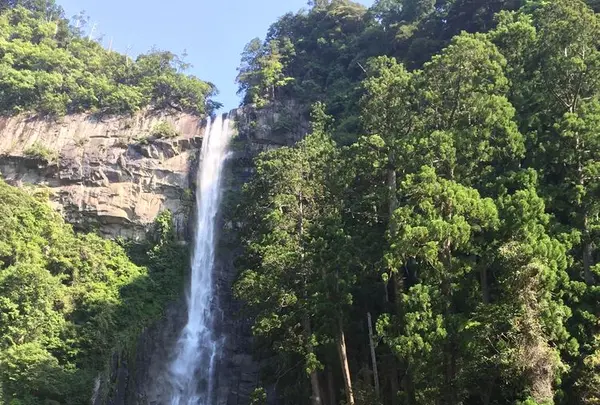 那智の滝の写真・動画_image_194419
