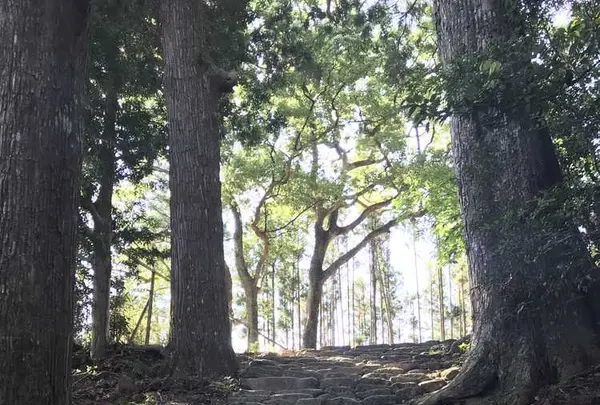 那智の滝の写真・動画_image_194421