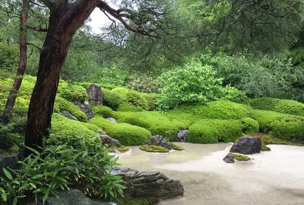 明月院（あじさい寺）の写真・動画_image_194548