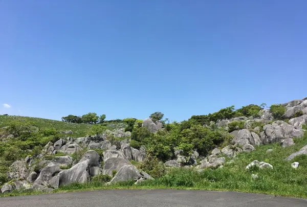 平尾台自然観察センターの写真・動画_image_194557