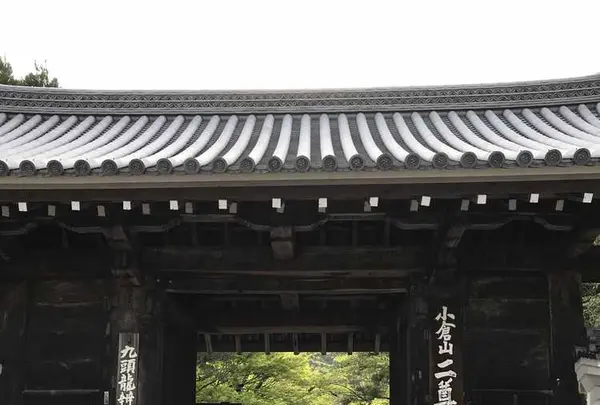 野々宮神社の写真・動画_image_194590