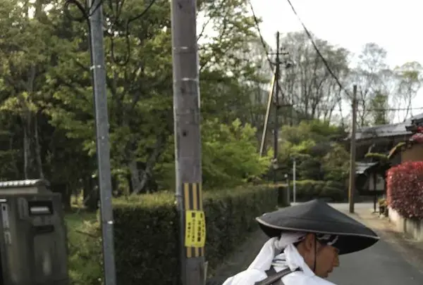 嵯峨嵐山駅の写真・動画_image_194614