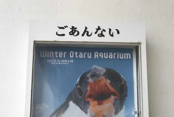 おたる水族館の写真・動画_image_194639