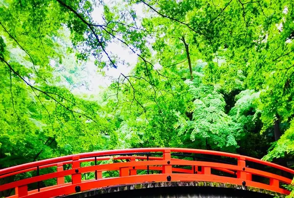 北野天満宮の写真・動画_image_194679