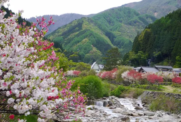 月川の写真・動画_image_194745