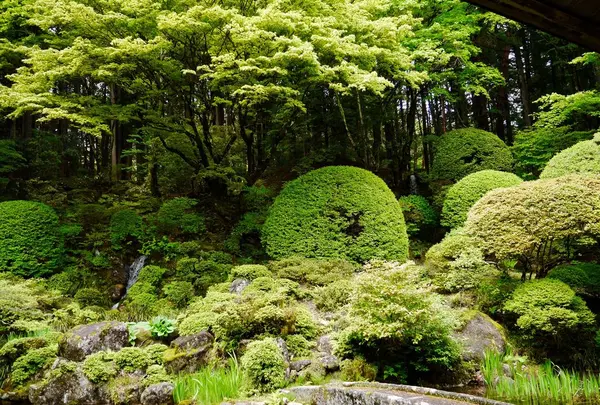 光前寺の写真・動画_image_194767