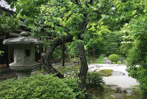 浄妙寺の写真・動画_image_194828