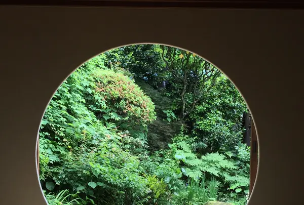 点心庵の写真・動画_image_194834