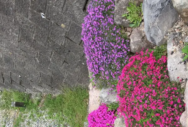 那須いちやホテルの写真・動画_image_194917