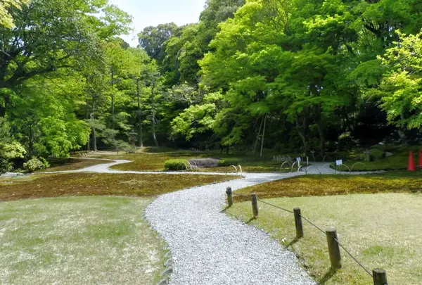 吉城園の写真・動画_image_194950