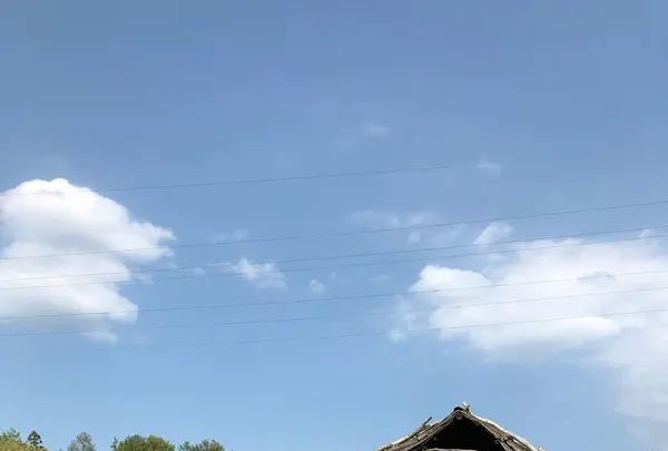 御所野縄文公園の写真・動画_image_194965