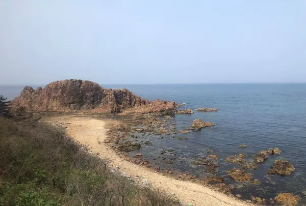 五能線の写真・動画_image_194991