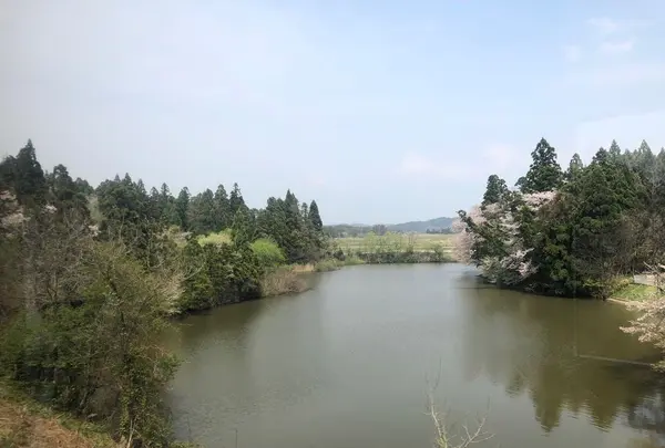 五能線の写真・動画_image_194996