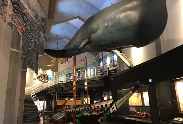 キラメッセ室戸 鯨館の写真・動画_image_195096