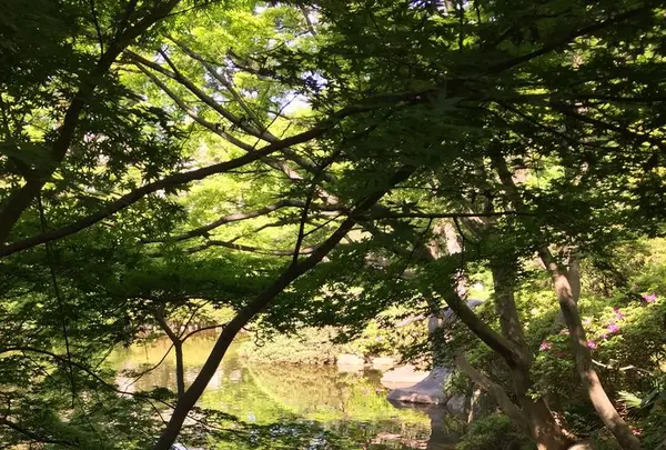 東京都庭園美術館の写真・動画_image_195169