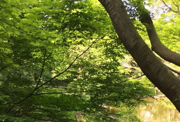 東京都庭園美術館の写真・動画_image_195171