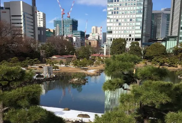 浜離宮恩賜庭園の写真・動画_image_195173