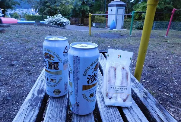 奥多摩橋の写真・動画_image_195539