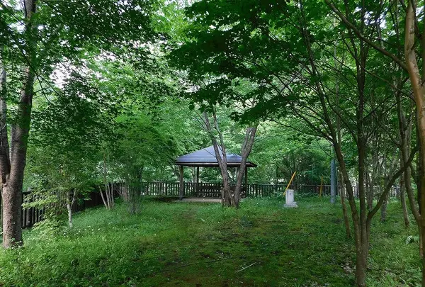 海沢公園の写真・動画_image_195575