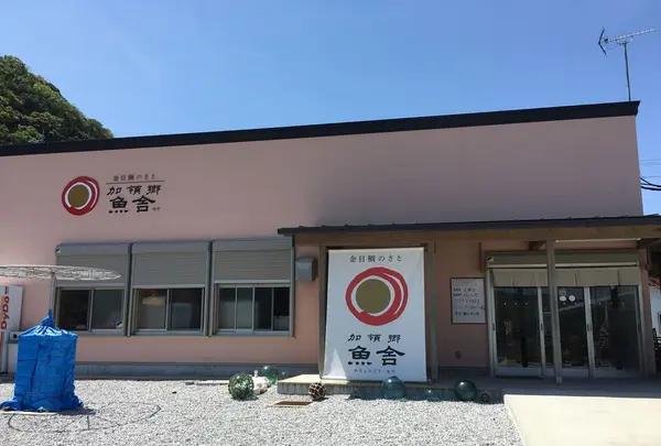 加領郷の写真・動画_image_195579