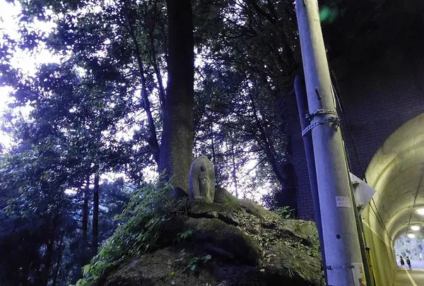 旧氷川トンネルの写真・動画_image_195582