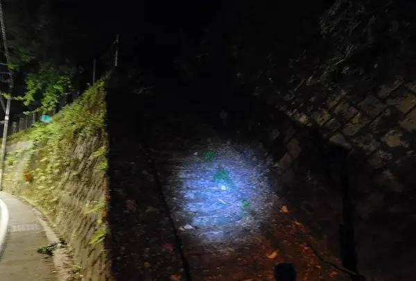 みとうさんぐち駅の写真・動画_image_195588