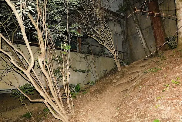 みとうさんぐち駅の写真・動画_image_195589