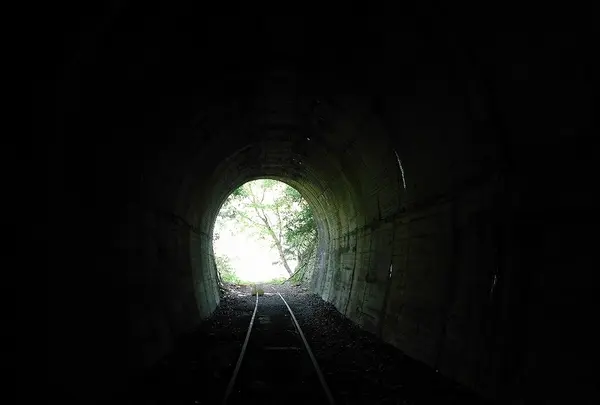 奥多摩「むかし道」の写真・動画_image_195604