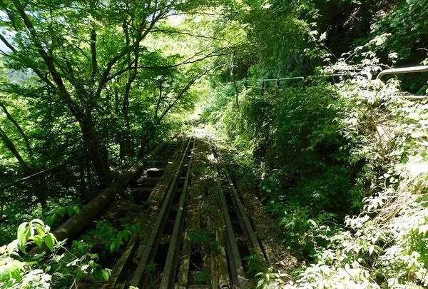 奥多摩「むかし道」の写真・動画_image_195606
