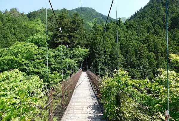 奥多摩「むかし道」の写真・動画_image_195609