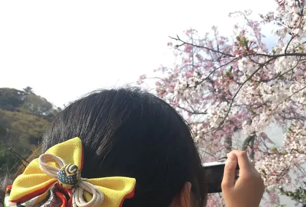 和装小袖の写真・動画_image_195643