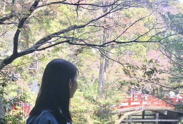 鶴岡八幡宮の写真・動画_image_195689