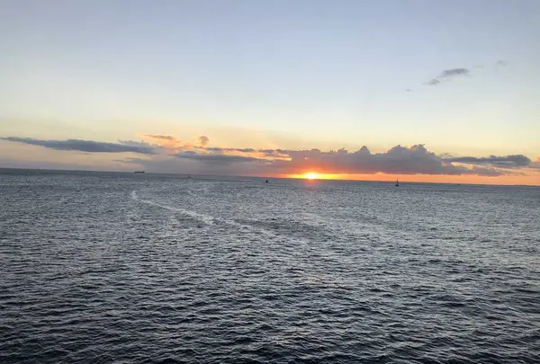 Star of Honoluluの写真・動画_image_195726